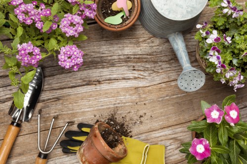 Professional lawn mowing service in Cleaners W1J